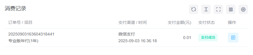 消费记录